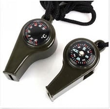 whistles green